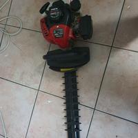 Tagliasiepi 25,4cc progreen pg5526d