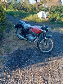 Gilera SP01 125 - 1954