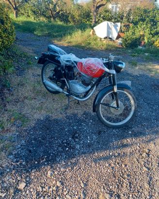 Gilera SP01 125 - 1954