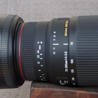 obbiettivo Sigma 70-300 apo Dg macro pentax