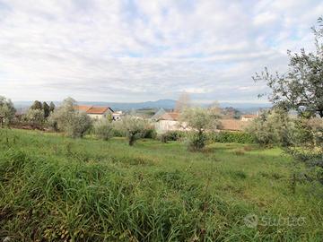 TER. RESIDENZIALE A POGGIO MIRTETO