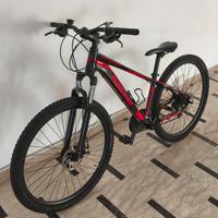 Bici Rollmar Mountain bike 