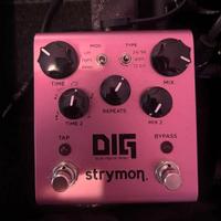 Pedale DIG by Strymon
