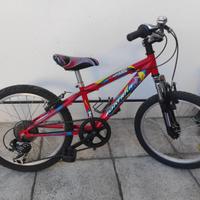 Bicicletta per ragazzo