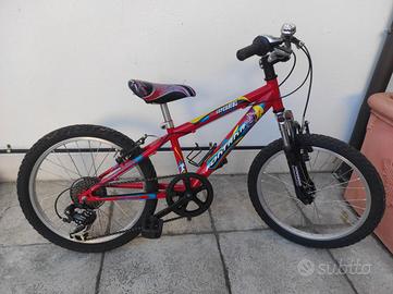 Bicicletta per ragazzo