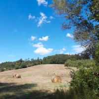 Terreno in Toscana