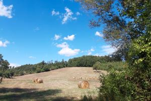 Terreno in Toscana
