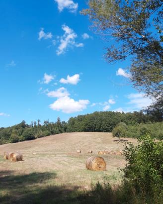 Terreno in Toscana