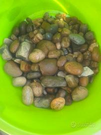 Pietre per acquario