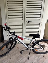 Bicicletta da bambino