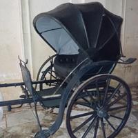 BIROCCIO CARROZZA 