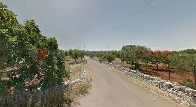 Terreno Agricolo Monopoli [Cod. rif 3157608VCG]