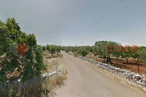Terreno Agricolo Monopoli [Cod. rif 3157608VCG]