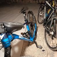 bottecchia 