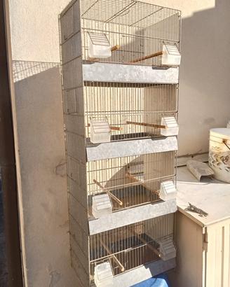 Gabbia volonna e camera fotografica