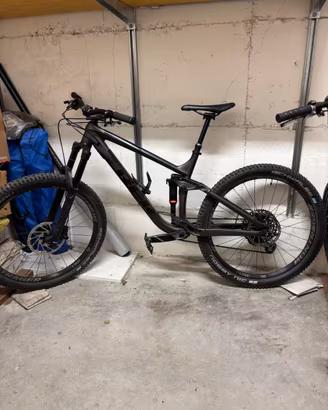 Trek remedy 8 2020