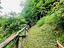 Immagine 26