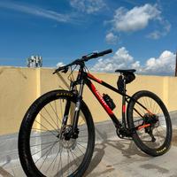 MTB TRIESTINA WILIER 503 X