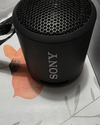 Piccola cassa SONY