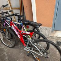 Bici Mountain Bike da ragazzo