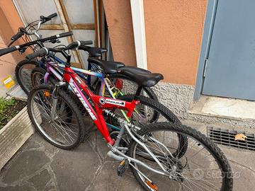 Bici Mountain Bike da ragazzo