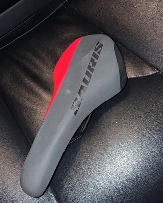 Sella sauris take 4 body shape