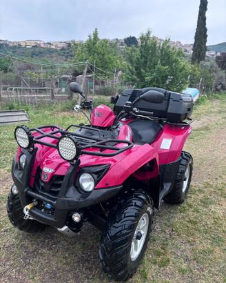 Quad 600