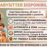 Babysitter