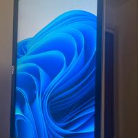 Monitor DELL 23 Full HD VGA/Displayport