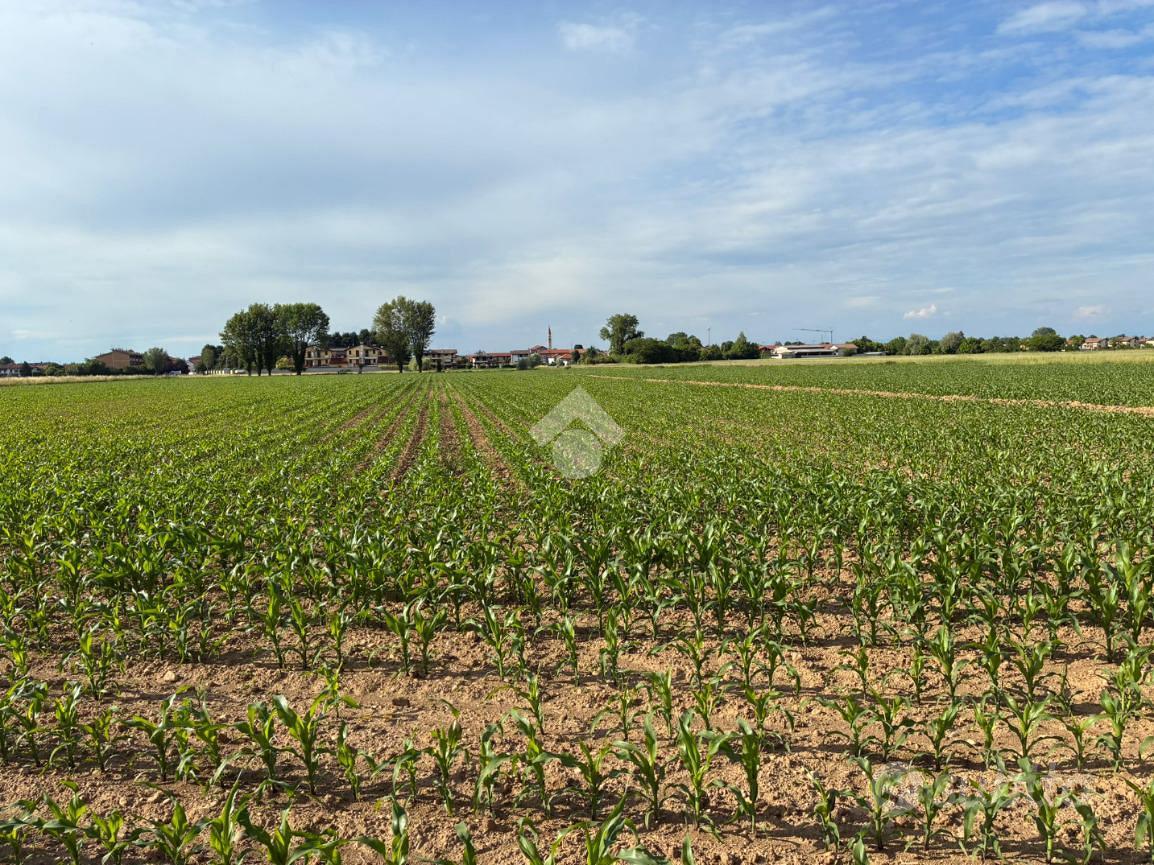TER. AGRICOLO A CORBETTA - Vista 2