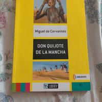 don quijote de la Mancha 