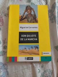 don quijote de la Mancha 