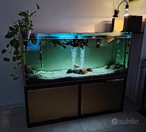 Tartarughe e acquario