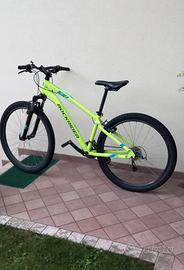 Mountain bike Rockrider