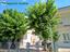 Immagine 19
