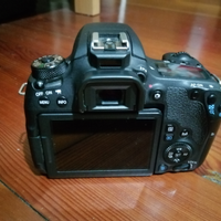 Canon 77d