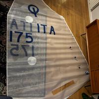 Vela Optimist Olimpic nuova