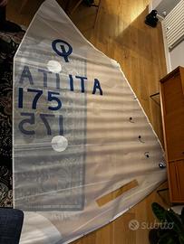 Vela Optimist Olimpic nuova