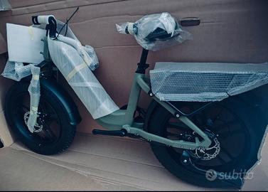 Ebike fat bike
