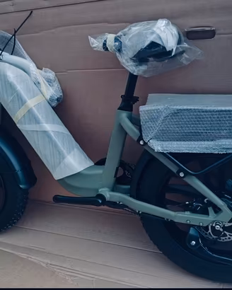 Ebike fat bike