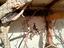 Immagine 5