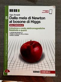 Dalla mela di Newton al bosone di Higgs 5 - Amaldi