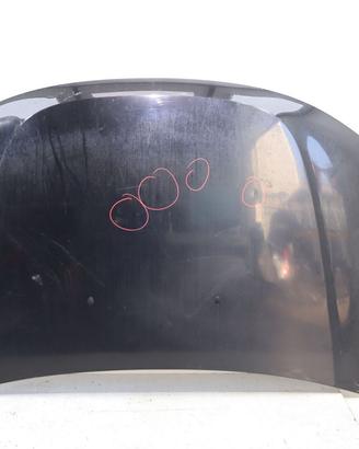 COFANO ANTERIORE DACIA Duster 1° Serie 651000987R