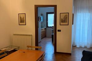 Singole Giurisprudenza Farmacia Economia Medicina