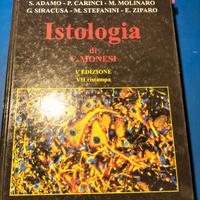 Istologia di V.Monesi 