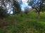 Immagine 17