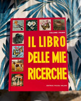 Il libro delle mie ricerche