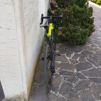 TREK MADONE