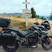 Triumph Tiger xrx