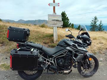 Triumph Tiger xrx
